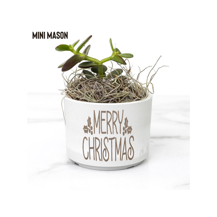 Merry Christmas Holiday Desk Plant