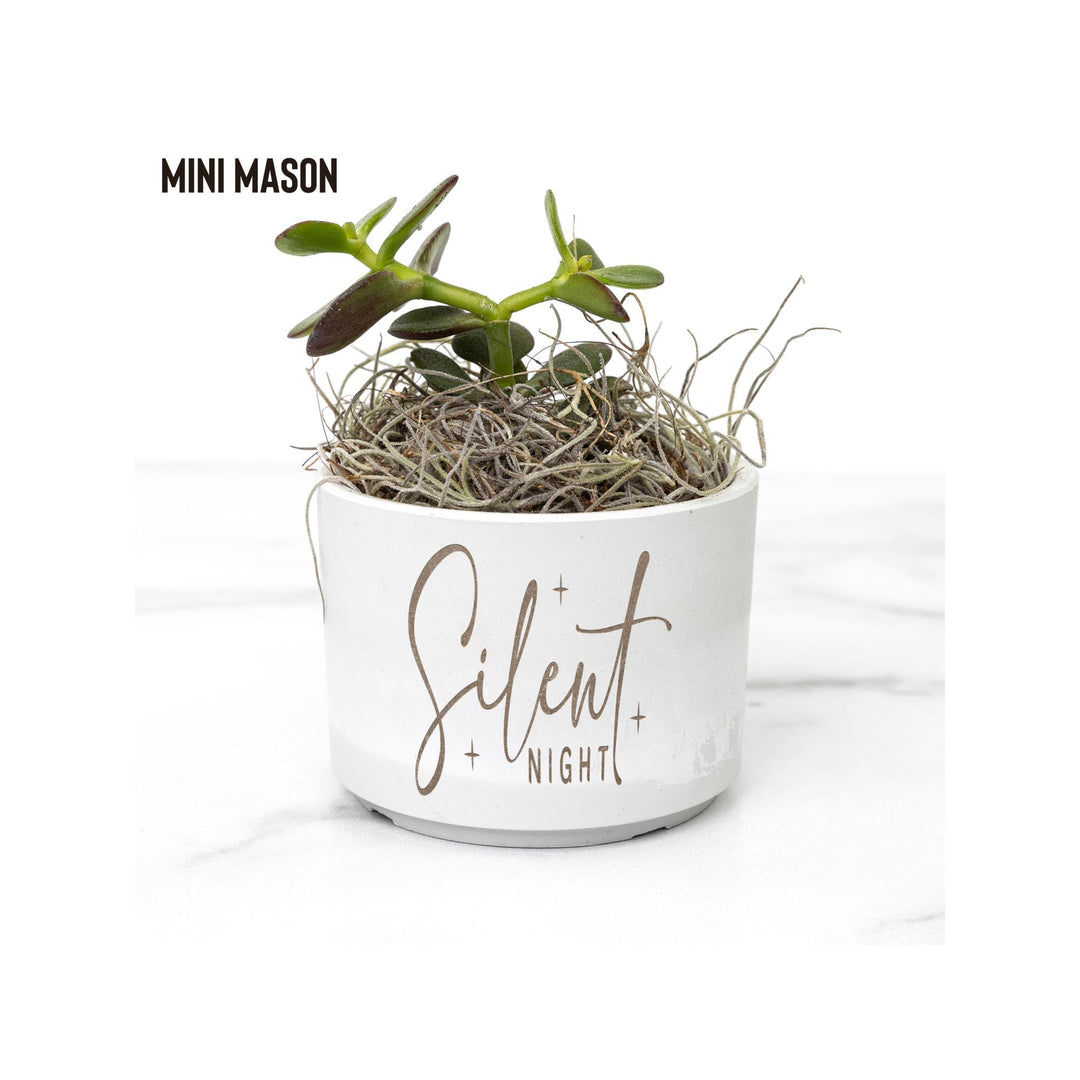 Silent Night Christmas Desk Plant