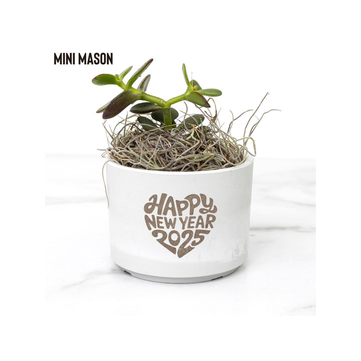 Happy New Year 2025 Desk Plant