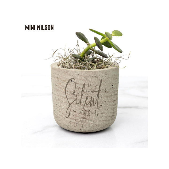 Silent Night Christmas Desk Plant