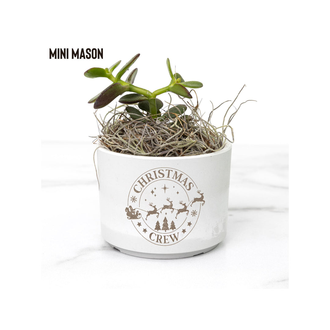 Christmas Crew Holiday Desk Plant