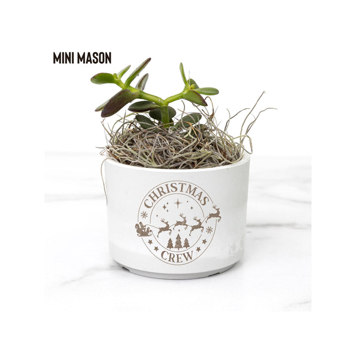 Christmas Crew Holiday Desk Plant