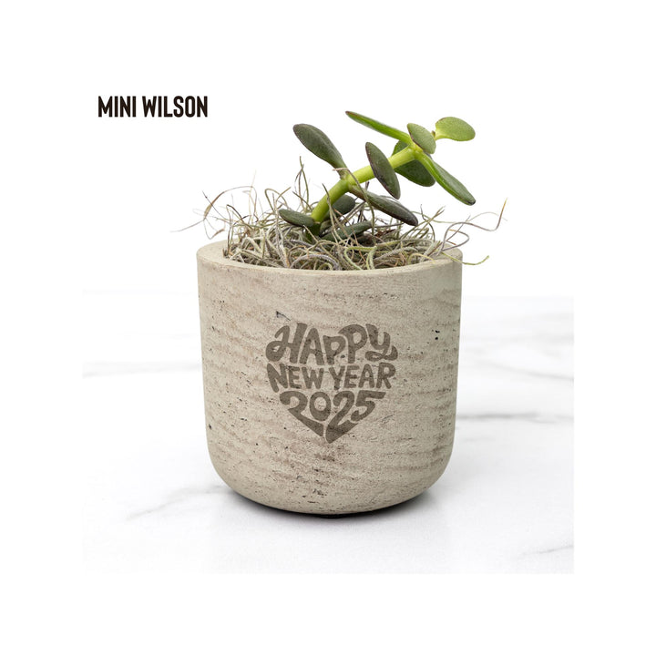 Happy New Year 2025 Desk Plant