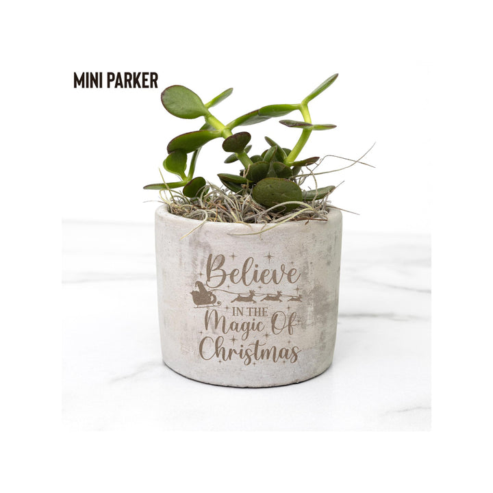 Believe In the Magic of Christmas Holiday Desk Plant