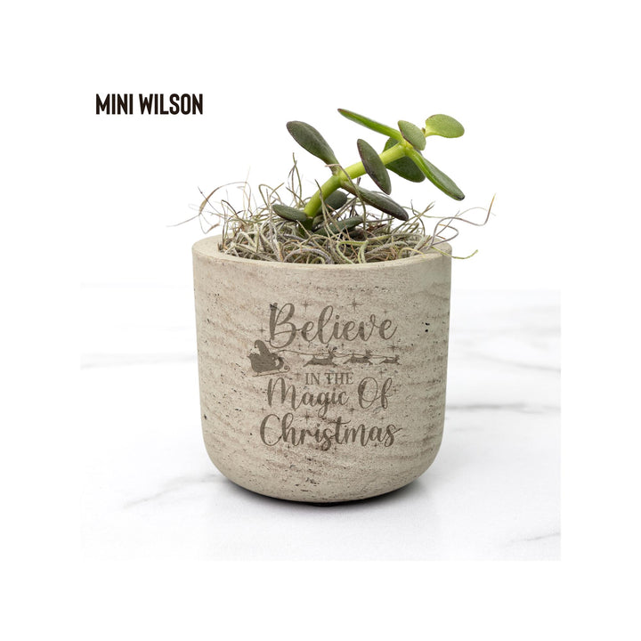 Believe In the Magic of Christmas Holiday Desk Plant