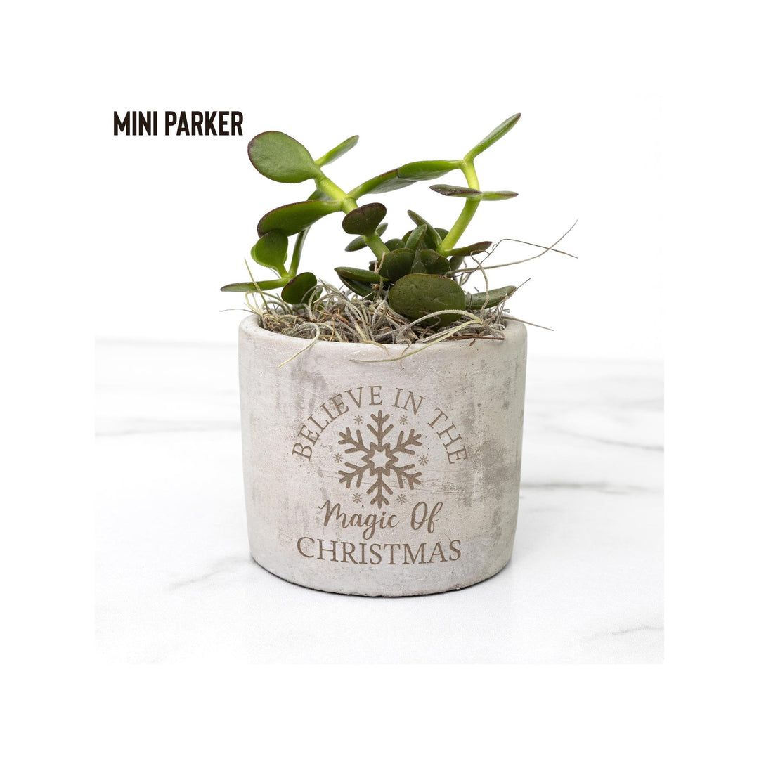 Believe In the Magic of Christmas Holiday Desk Plant