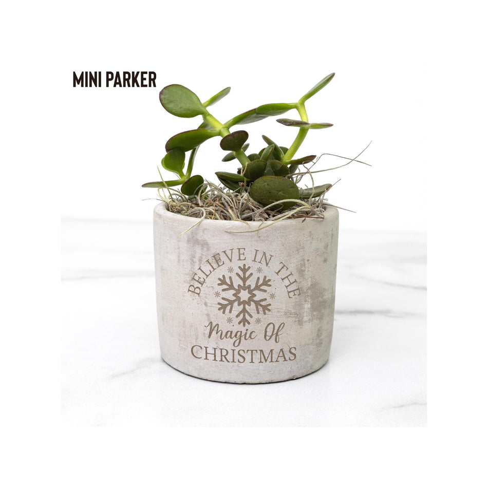 Believe In the Magic of Christmas Holiday Desk Plant