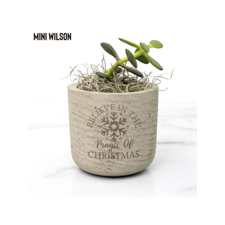 Believe In the Magic of Christmas Holiday Desk Plant
