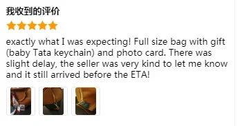 Luxury V Design Boston Handbag – Unisex Crossbody Bag with Silk Scarf