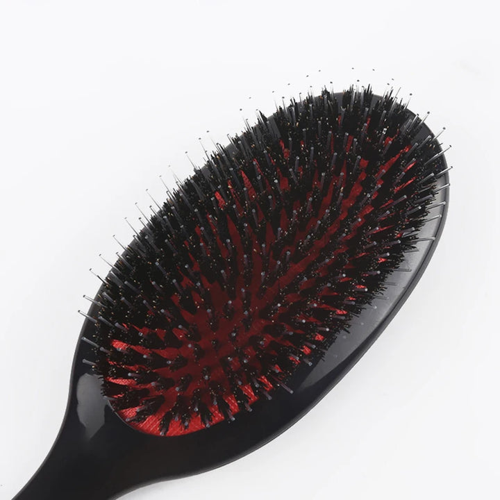 Hair Brush Hairdressing Detangling Combs Head Scalp Massager Salon Women Hairbrush Haircut Accessaries