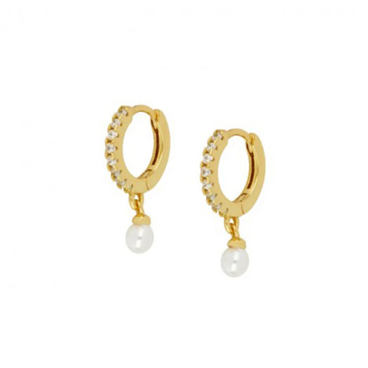 ZirconBloom™ – CANNER 18K Gold Plated Drop Earrings with Star Design