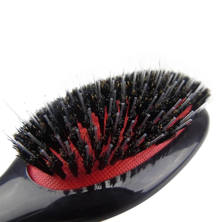 Hair Brush Hairdressing Detangling Combs Head Scalp Massager Salon Women Hairbrush Haircut Accessaries